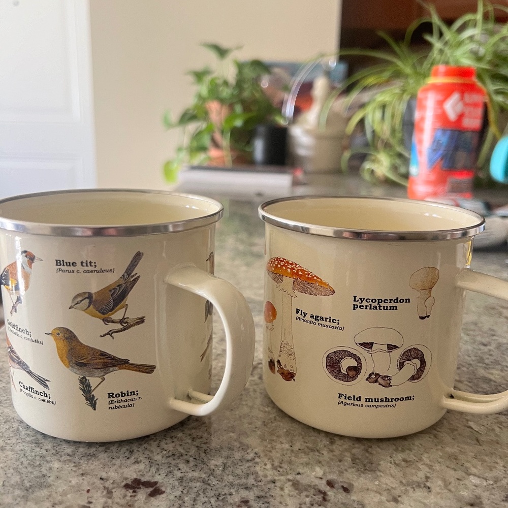 Enamel Coffee Mugs (Set of 2)